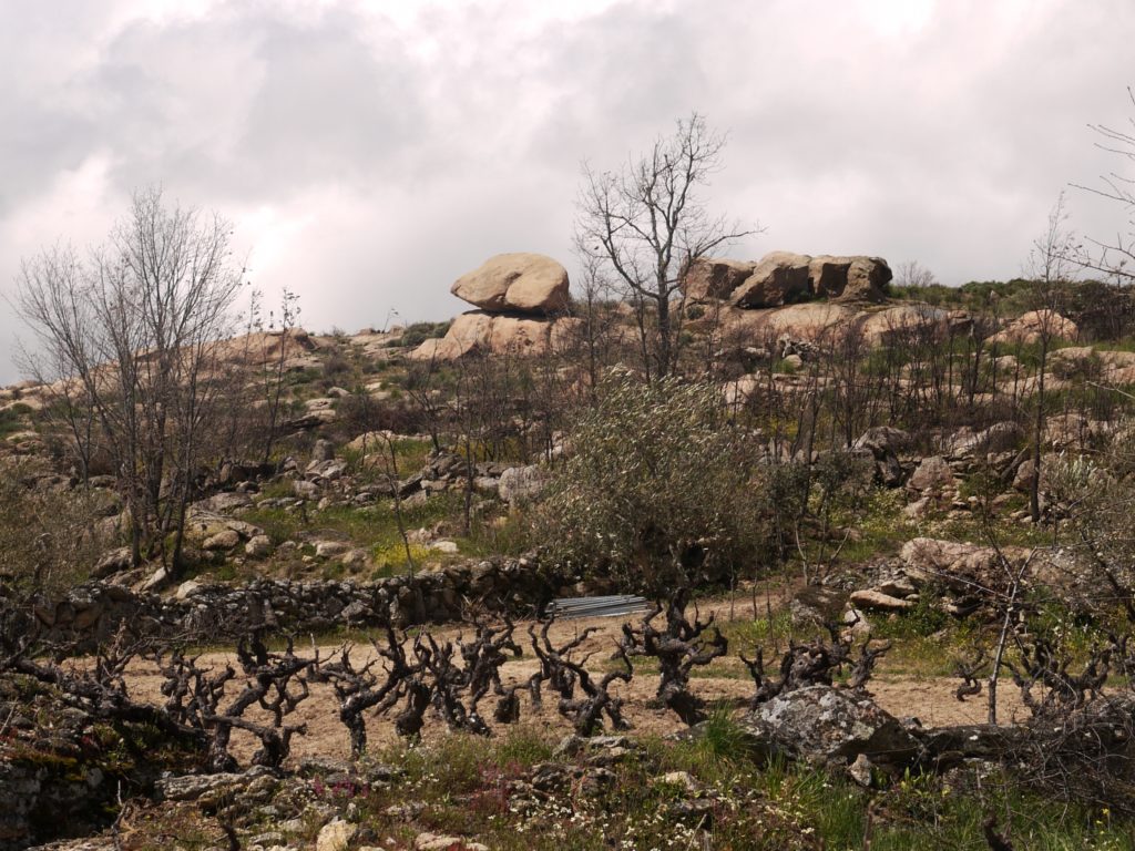 Vignes et rochers, Portugal