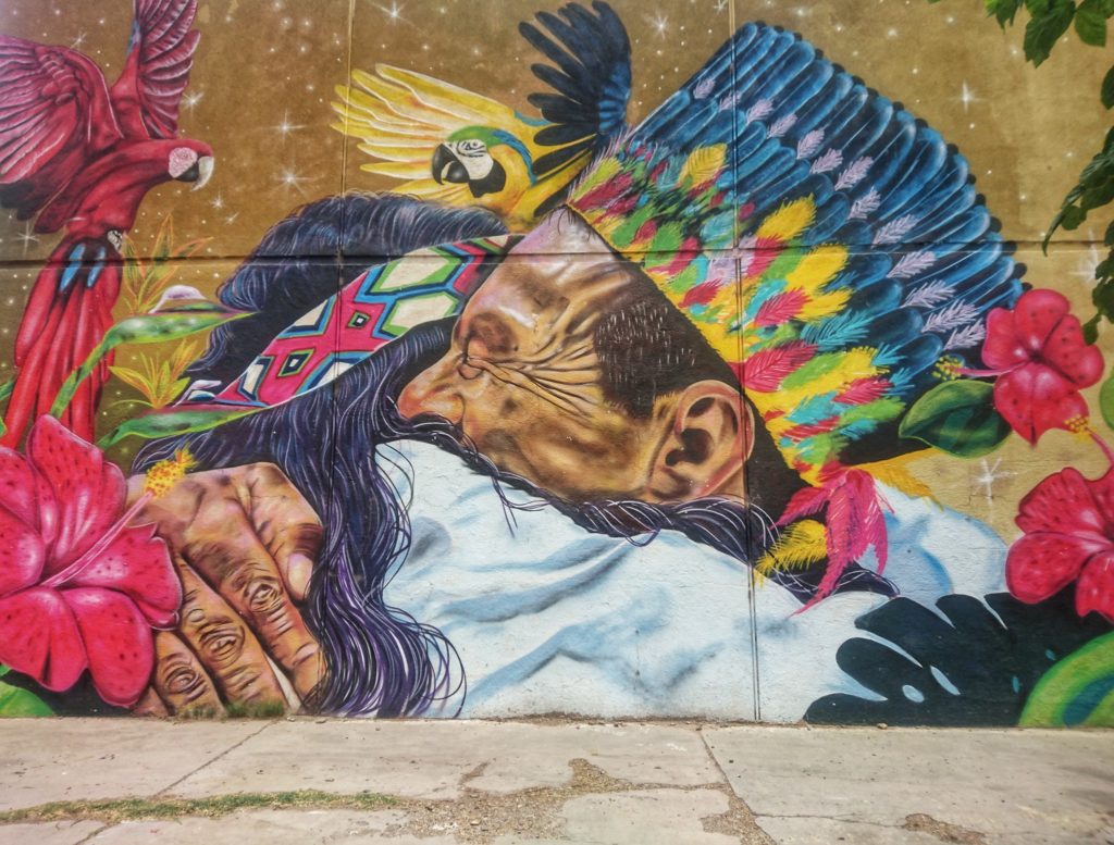 Mural Street Art, San Juan Capital, Argentine