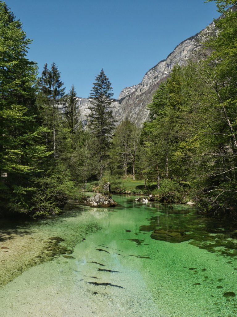 RIviere aux eaux émeraudes, Slovénie