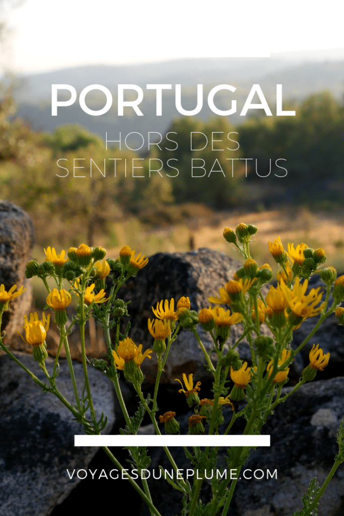 Image Pinterest Article Portugal